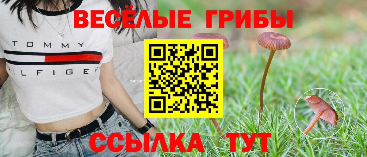 Псилоцибиновые грибы мухоморы  Псилоцибиновые грибы Psilocybe  Новороссийск  Вход с VPN 
