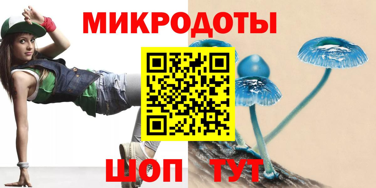 Галлюциногенные грибы Psilocybine cubensis Новороссийск