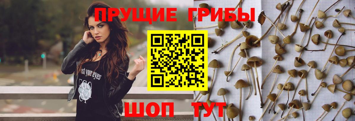 COCAIN Новороссийск